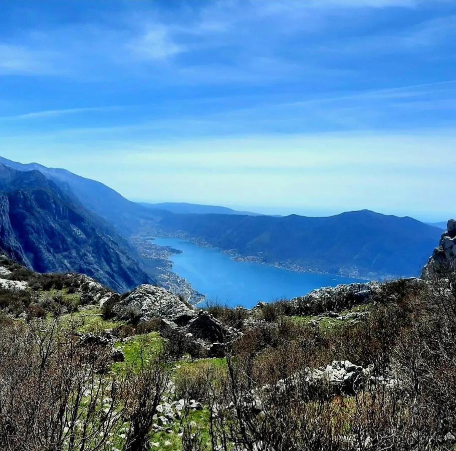 Apartments Pejanovic Kotor Dış mekan fotoğraf