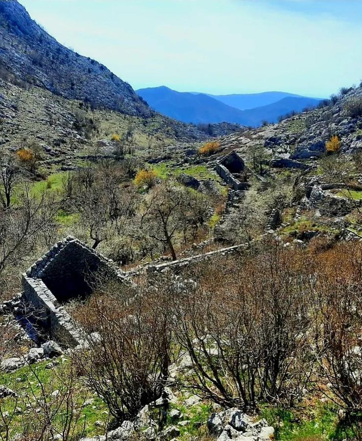 Apartments Pejanovic Kotor Dış mekan fotoğraf