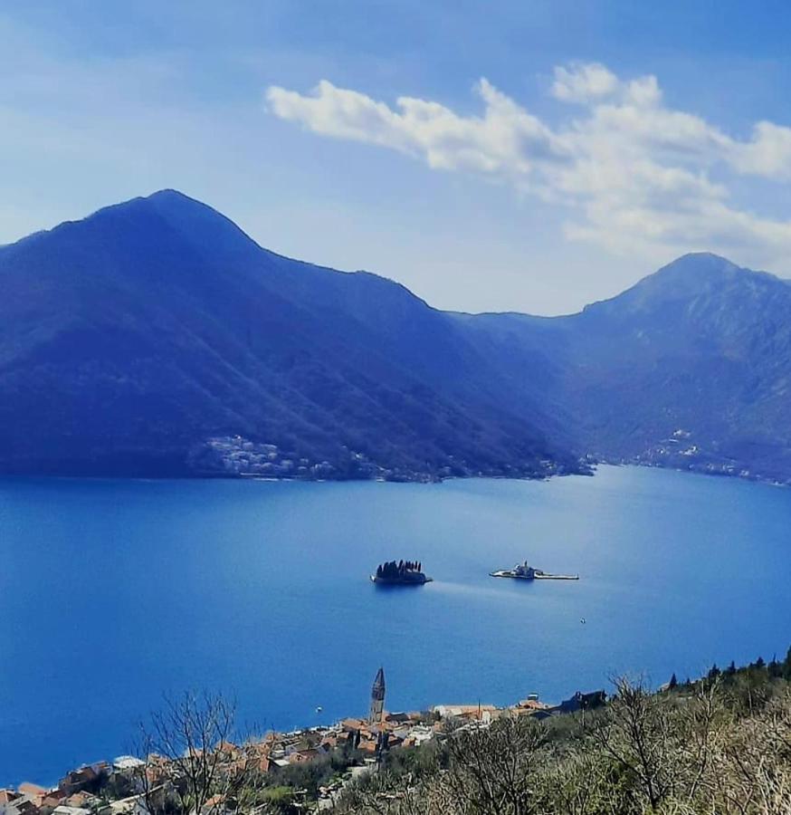 Apartments Pejanovic Kotor Dış mekan fotoğraf