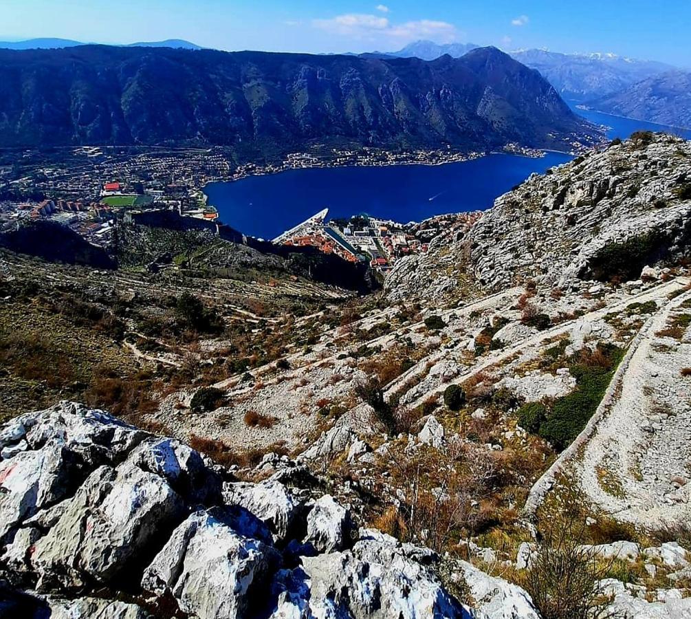 Apartments Pejanovic Kotor Dış mekan fotoğraf