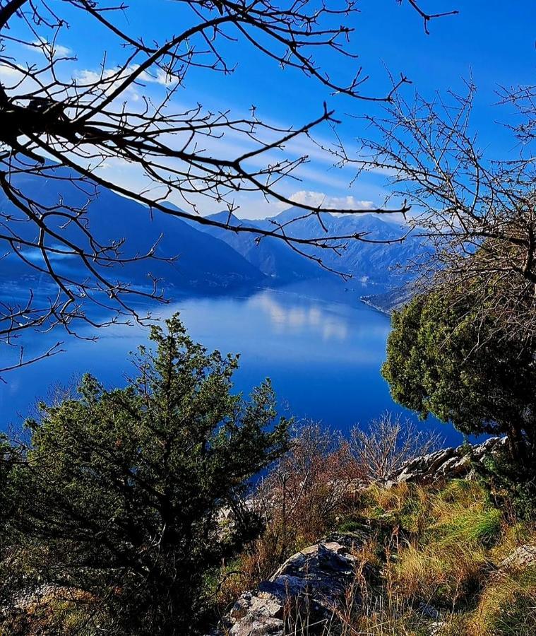 Apartments Pejanovic Kotor Dış mekan fotoğraf