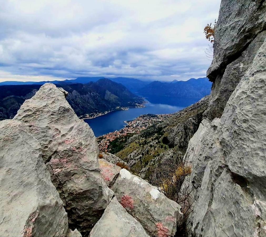 Apartments Pejanovic Kotor Dış mekan fotoğraf