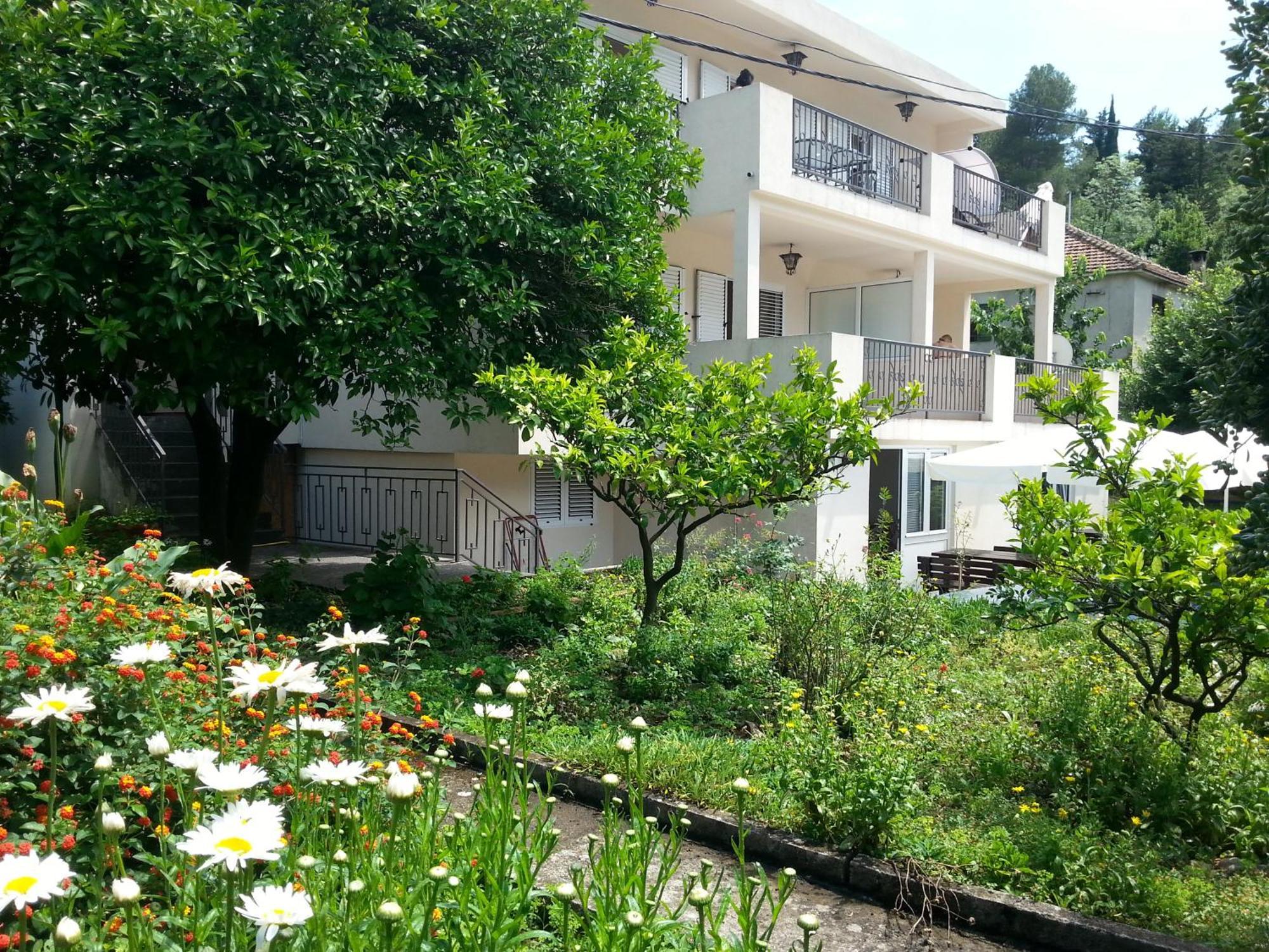 Apartments Pejanovic Kotor Dış mekan fotoğraf